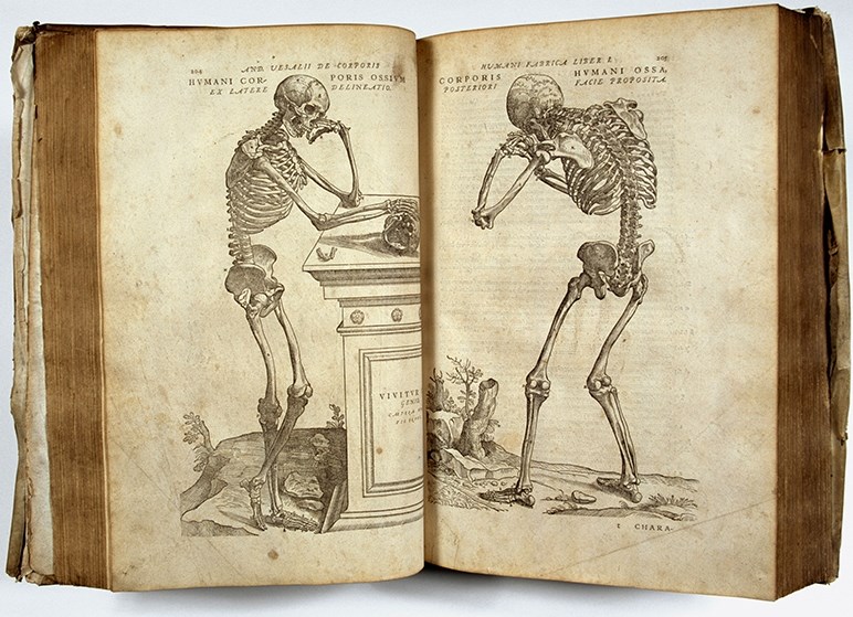 Science Works: Pages from "De Corporis Humani Fabrica," by Andreas Vesalius (1514-1564), a series of pioneering human anatomy books from the library archives of Exeter Cathedral.