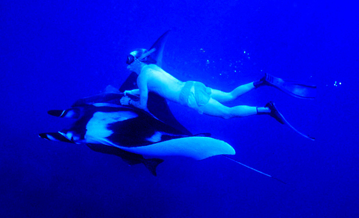 Rick Moore skin-diving underwater while holding onto a manta ray 