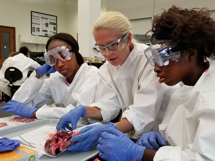 Hanna Jensen, clinical assistant professor of biomedical engineering, leads campers in dissecting a pig heart as an introduction to cardiovascular physiology.
