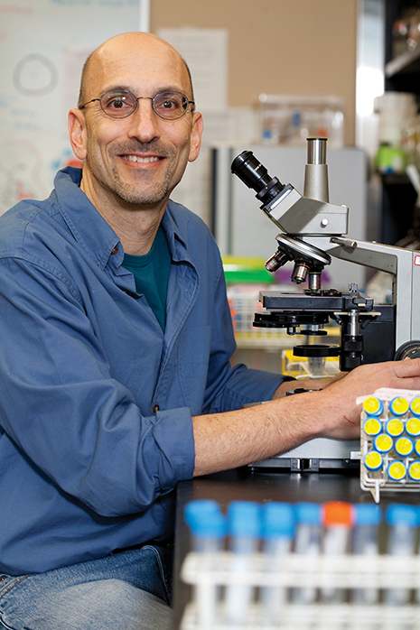 Jeff Silberman, professor of biological sciences.