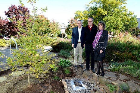 From left, Jon Lindstrom’s brothers Mark and Scott, and sister Karen Kimball, stand next to the Japanese Snowbell planted on the University of Arkansas campus in Jon’s memory
