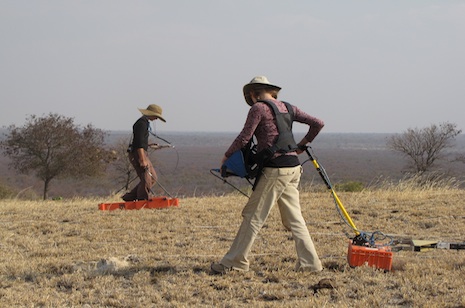 Katie Simon (left) of the Center for Advanced Spatial Technologies at the University of Arkansas and Eileen Ernenwein of East Tennessee State University conduct a geophysical survey on an archaeological site in Botswana. Photo by Carla Klehm, Washington University in St. Louis