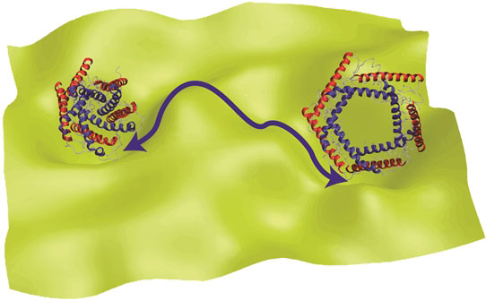 Open and closed forms of channel proteins, which function by changing their shape. 