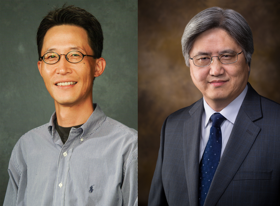Jin-Woo Kim (left) and Yanbin Li (right) have been named fellows of the American Institute for Medical and Biological Engineering