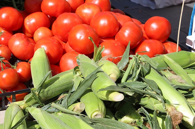 University of Arkansas researchers are studying risks that climate change could pose to crops like corn and tomatoes.