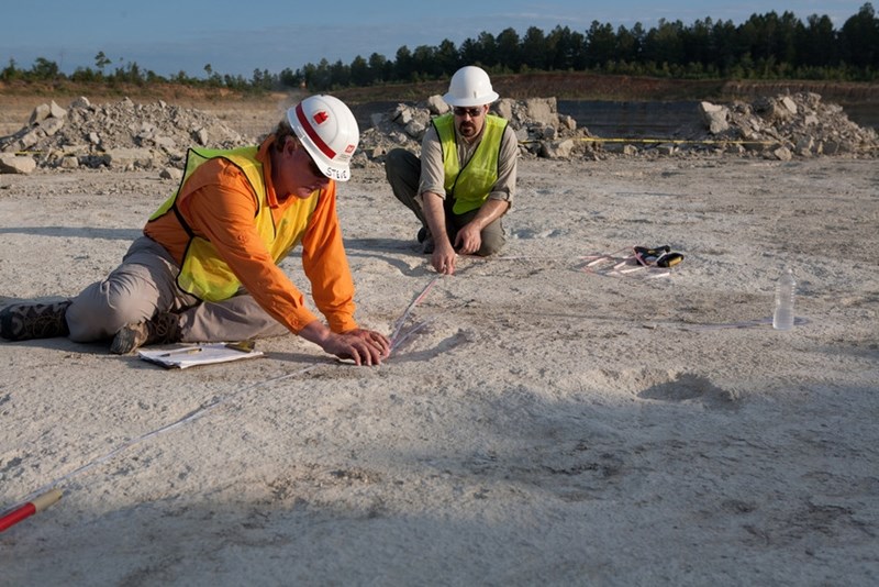 U of A Digitally Preserves Important Dinosaur Tracks Found in Arkansas