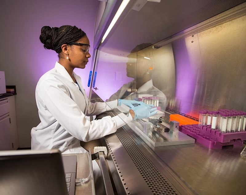 A student researcher works on a project in a University of Arkansas lab.