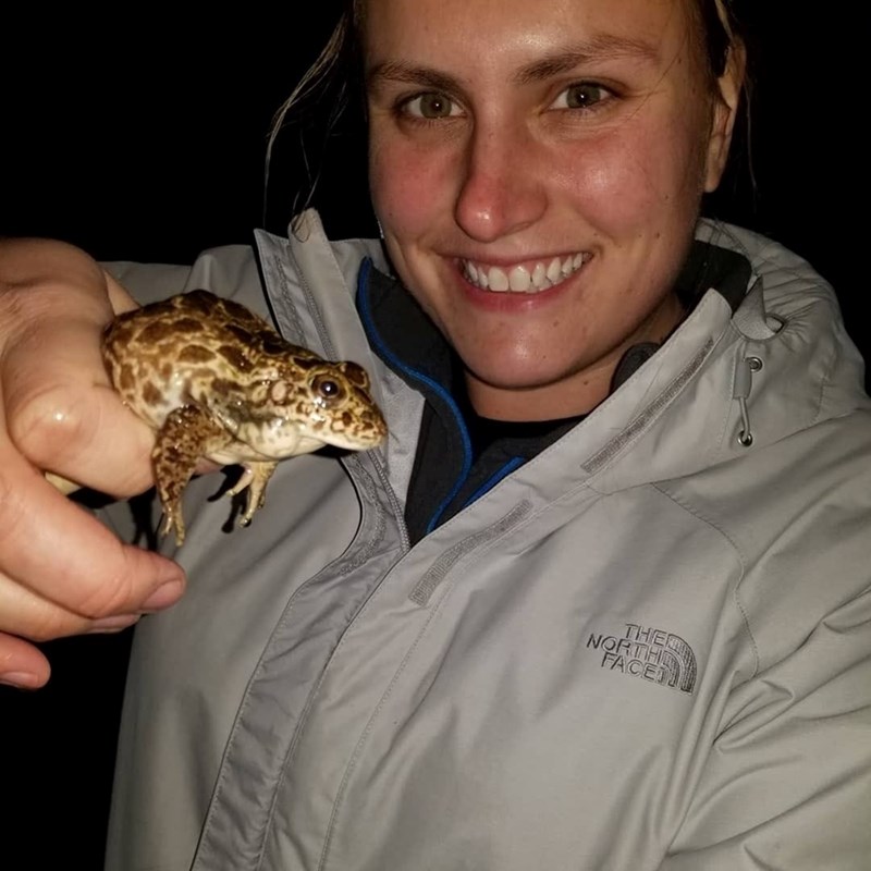 Chelsea Kross with the subject of her dissertation, the crawfish frog (lithobates areolatus).