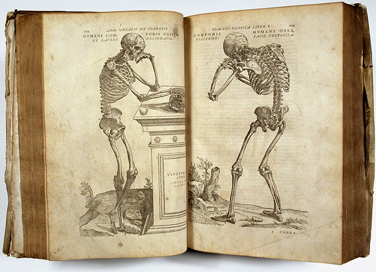 Science Works: Pages from "De Corporis Humani Fabrica," by Andreas Vesalius (1514-1564), a series of pioneering human anatomy books from the library archives of Exeter Cathedral.