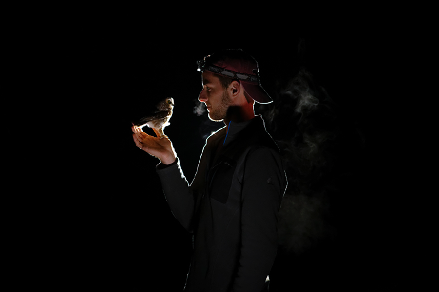Dark, backlit portrait of Mitchell Pruitt holding a northern saw-whet owl in his hand.