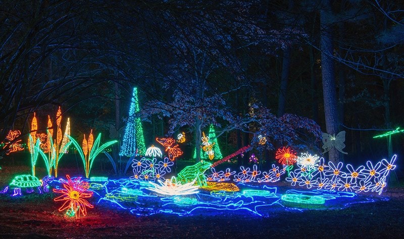 December At Garvan Woodland Gardens Features Annual Holiday