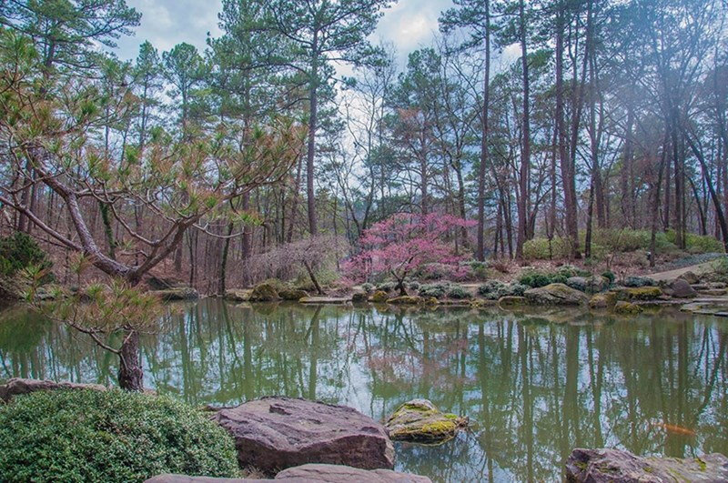 The koi pond at Garvan Woodland Gardens in Hot Springs.