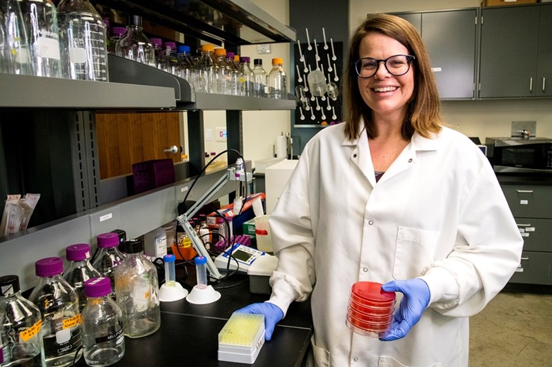 Kristen Gibson, associate professor of food safety and microbiology, investigates the effectiveness of monitoring for pathogenic microorganisms. She is leading a multi-institution research team in a USDA-NIFA funded project to develop tools and procedures to make foodservice establishments safer for dine-in customers. (U of A System Division of Agriculture photo by Fred Miller)