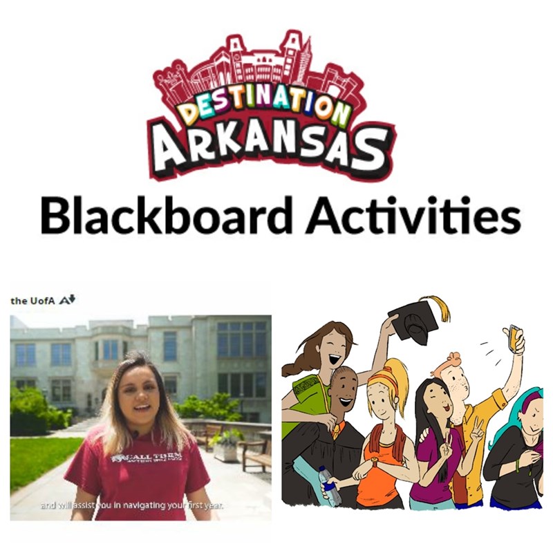 'Destination Arkansas Blackboard Activities' Help U of A Students Connect to Success
