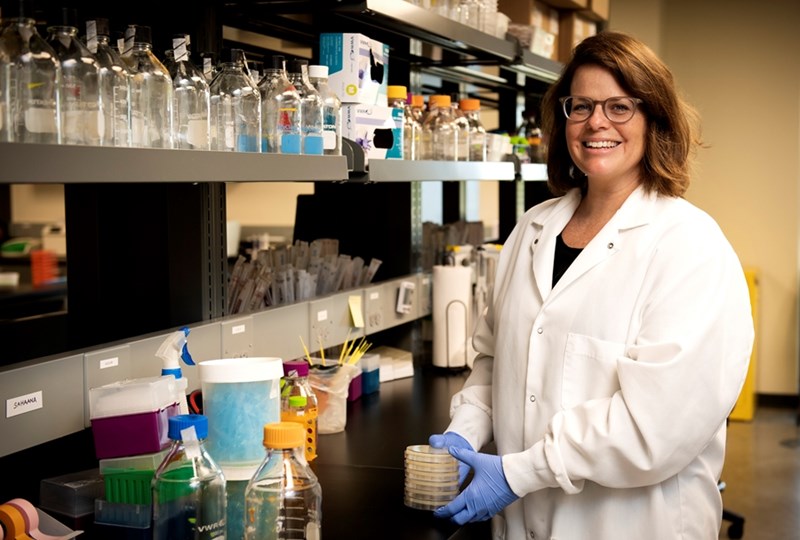Kriten Gibson, associate professor of food science and microbiology, is lead investigator of USDA-NIFA Rapid Response Grant-funded project to investigate COVID-19 protections in food service establishments.