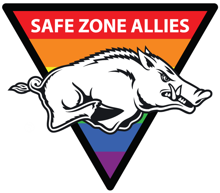 Safe Zone Allies Session Sept. 30