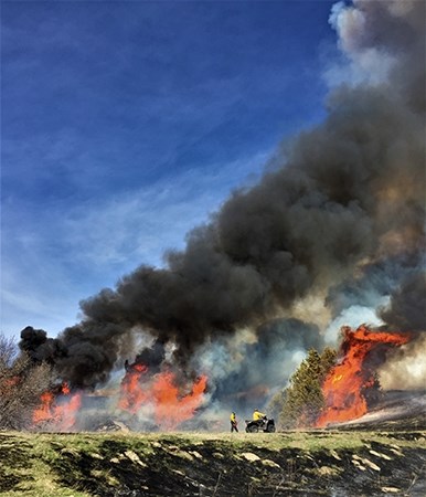 Prescribed Fires Can Help Restore Biodiversity to Great Plains 