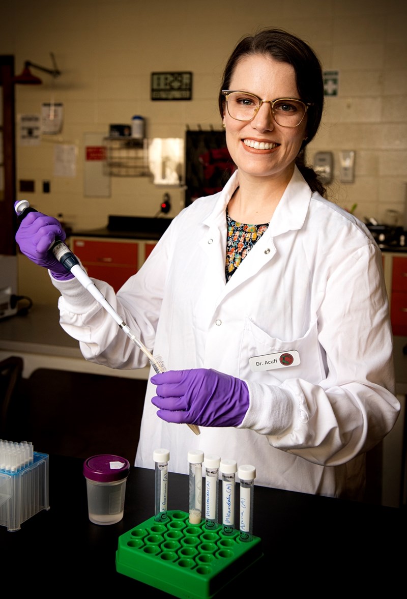Jennifer Acuff, assistant professor of food safety, was awarded a $200,000 grant from the U.S. Department of Agriculture National Institute of Food and Agriculture to study how bacteria persist in low-moisture food processing environments.
