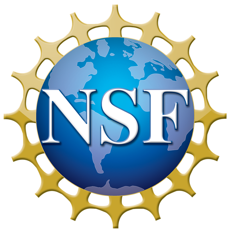 NSF Recognizes 10 U of A Students and Recent Alumni