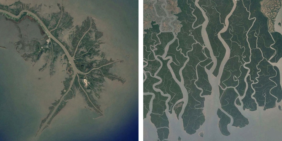 Satellite images of the Mississippi Delta in Louisiana (left) and Ganges-Brahmaputra Delta in Bangladesh (right). The study concerned the lack of loops in the Mississippi Delta and the many looping channels in the Ganges-Brahmaptura Delta.