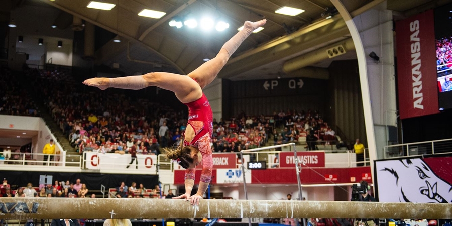 Twelve Razorback Gymnasts Named WCGA Scholar All-Americans