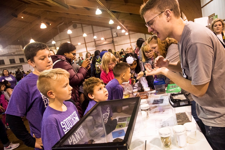 Lab technician Ben Gibson shows elementary school students a whip scorpion (not a real scorpion) and other insects from the Entomology Insect Zoo during the 2018 U of A Insect Festival.