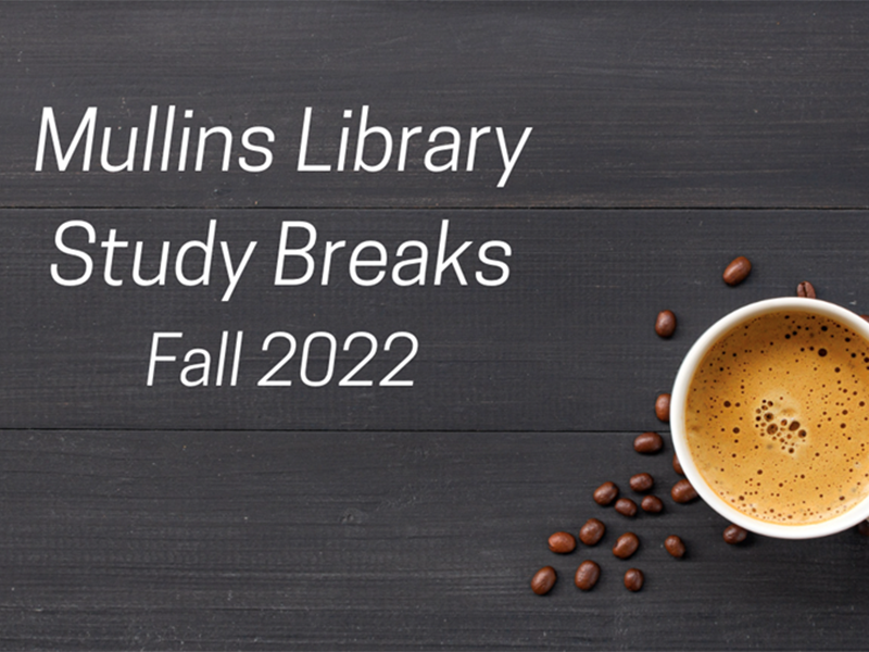 Take a study break at the Mullins Library