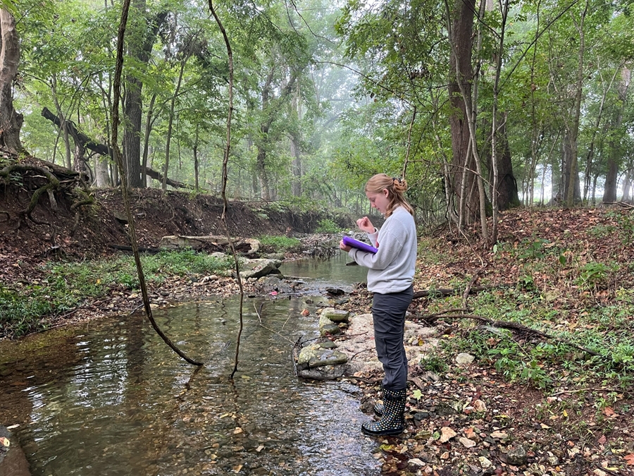 Kathleen Cutting, a water quality science master's degree student at the U of A, takes stream monitoring notes on Brush Creek as part of a U.S. Department of Energy grant with Shannon Speir, assistant professor of water quality, to study headwater stream networks. Brush Creek is a headwater of the White River basin and part of the Beaver Lake watershed.