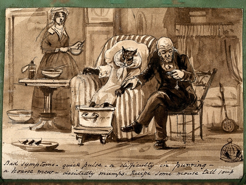 Cartoon of "A Doctor Diagnosing a Cat with Mumps."