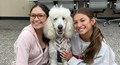 Students smile for a photo with Lyra the therapy dog during a Fall 2022 study break session.