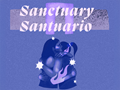 Visit Sanctuary/Santuario Art Exhibition Before It Closes Oct. 18